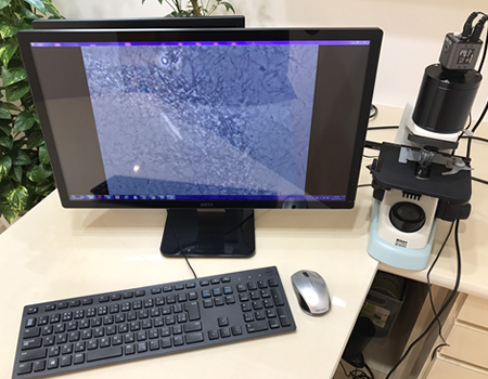 位相差顕微鏡で見えるお口の中の細菌の様子